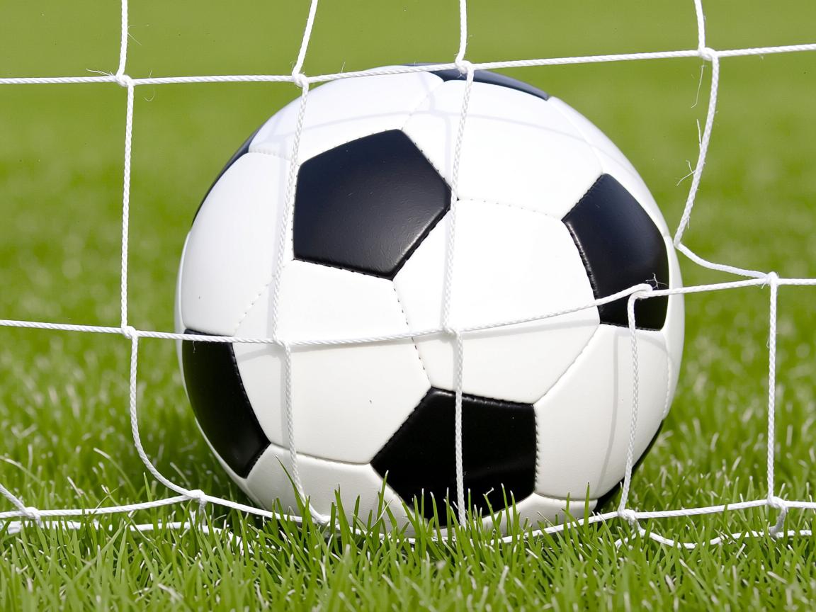 开云体育登录入口-Chinese Taipei团队：未来发展中的跨领域创新，taipei of china  第3张