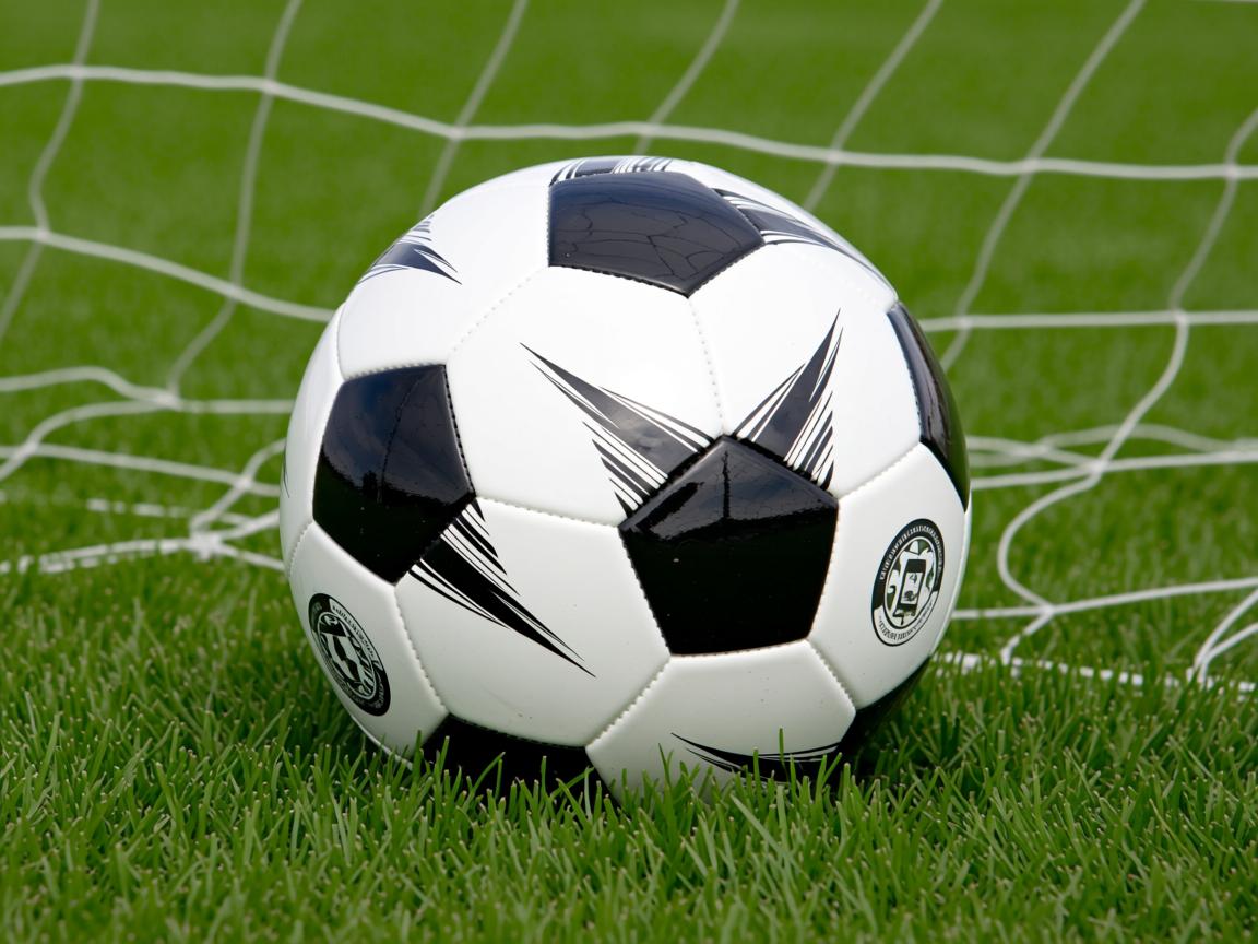 开云体育官网登入-中国男篮积极开拓国际比赛经验，中国男篮 迎战  第3张